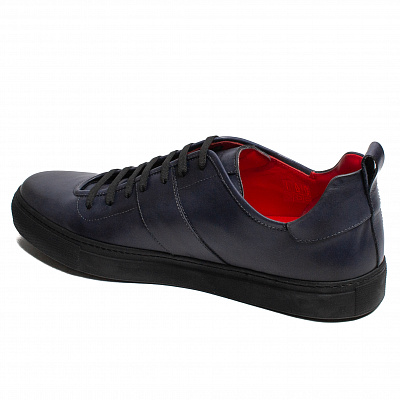 Nazareno Carelli 5002 син