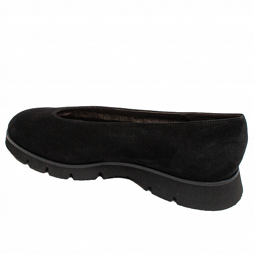Brunate 10955