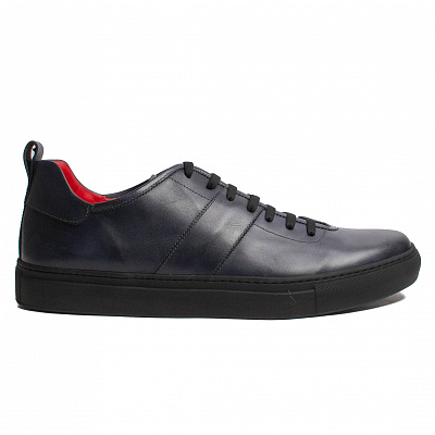 Nazareno Carelli 5002 син