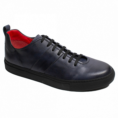 Nazareno Carelli 5002 син