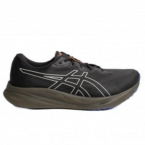 Кроссовки Asics 1011B781-003